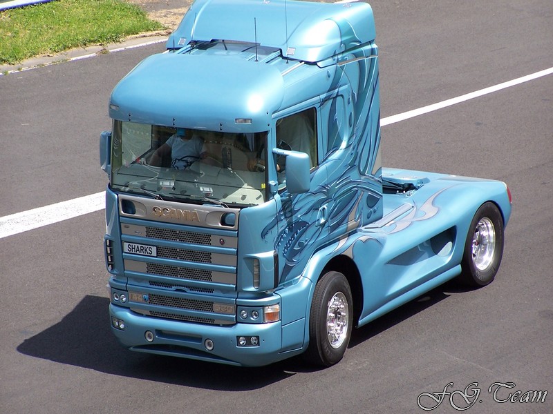 Svempas Shark (19).JPG